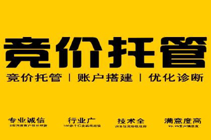电影宣传的SEM推广策略：成功案例分享
